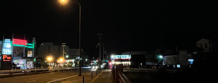 新堀橋 is one of 渡った橋（西日本）.