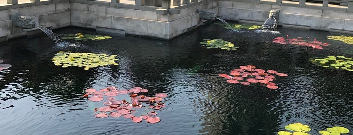 Lotus Pond Garden is one of Hong Kong.