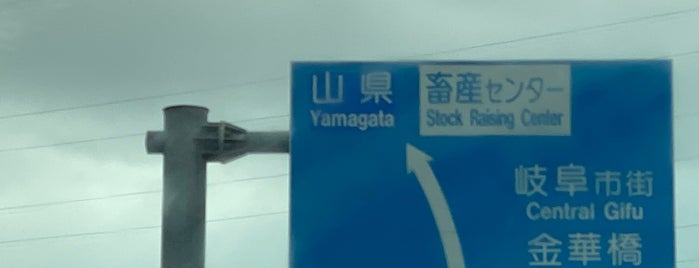 Yamagata is one of 中部の市区町村.