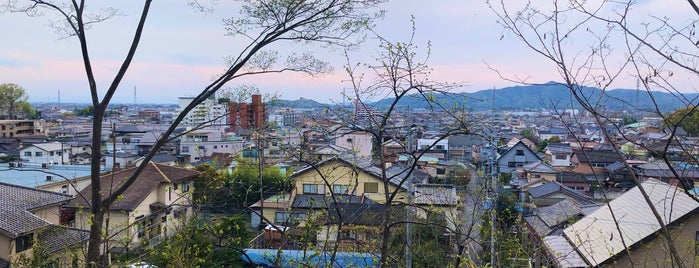 城山公園 (佐野城址) is one of 訪問済みの城.