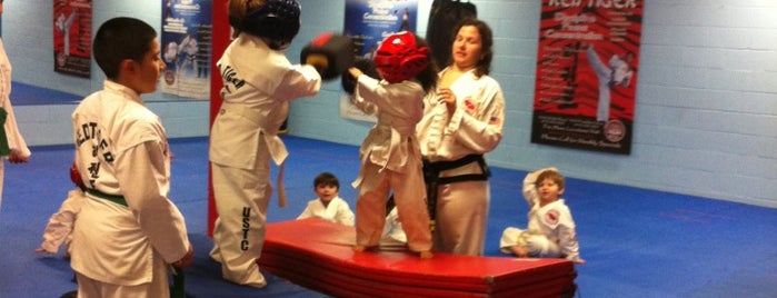 Red Tiger Taekwon-Do is one of Places.