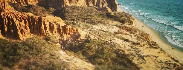 Torrey Pines State Beach is one of West Coast - To Do.