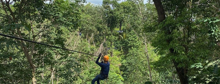 Patong Zip Line is one of Phuket to do.