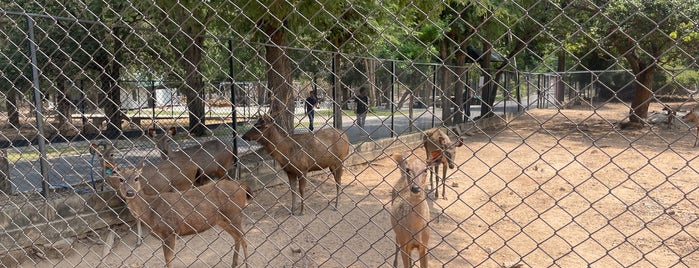 สวนสัตว์ห้วยทราย is one of Smth interesting.