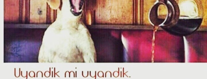PRESTİJ İNGİLİZ KÜLTÜR GÜZEL SANATLAR SPOR ANAOKULU is one of Posti che sono piaciuti a Pınar.