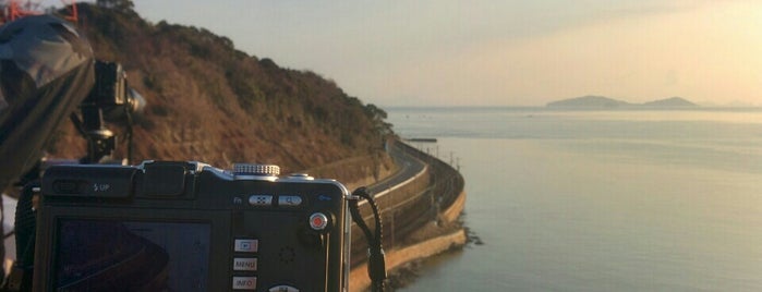 大島大橋 is one of 撮り鉄スポット.