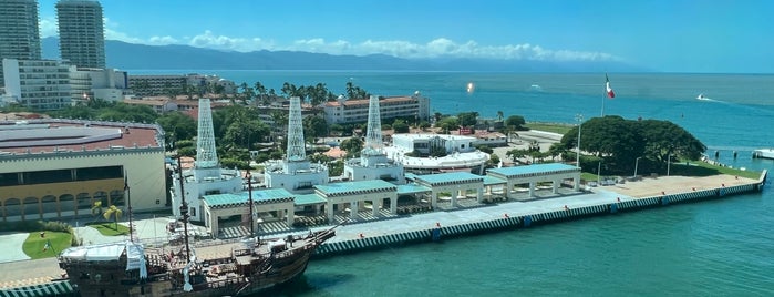 Terminal de cruceros del buque Puerto Vallarta is one of Posti che sono piaciuti a Doc.