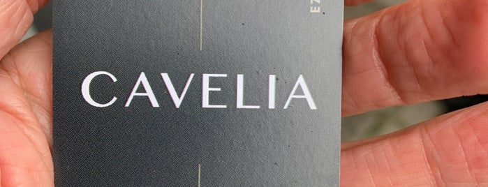 Cavelia is one of Brujas.