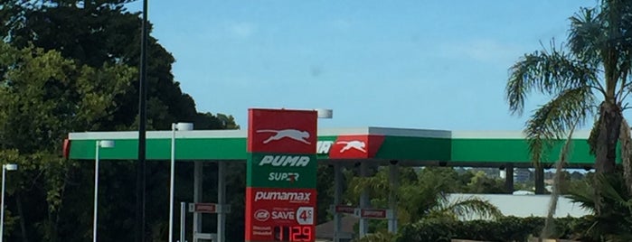 Puma is one of Perth.
