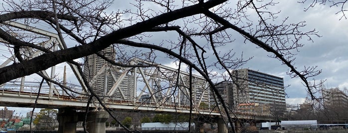 大阪環状線 淀川橋梁 is one of Sanpo in Osaka.
