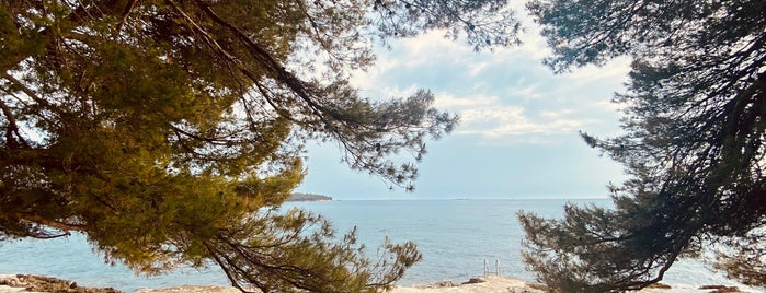 Laguna Galijot Beach is one of Croatia.