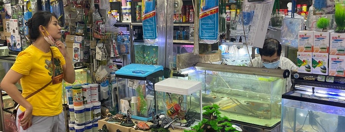 Wong's Fancy Fish is one of Pet shops.