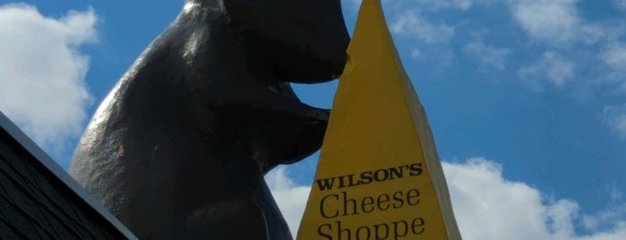 Wilson's Cheese Shoppe is one of Mitten.