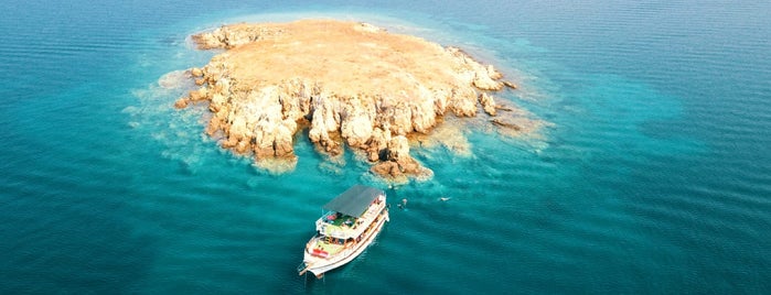 Taş Adası is one of Diving Locations.