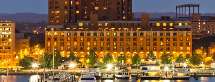 The Royal Sonesta Harbor Court Baltimore is one of The 15 Best Places with Scenic Views in Baltimore.