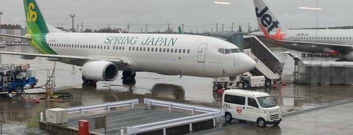 Hiroshima Airport (HIJ) is one of 降り立った空港.