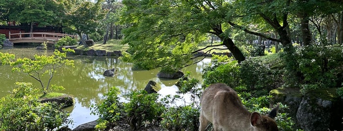 Nara is one of Kyoto.
