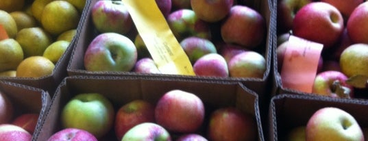 Jenkins-Lueken Orchards is one of adventures outside nyc.