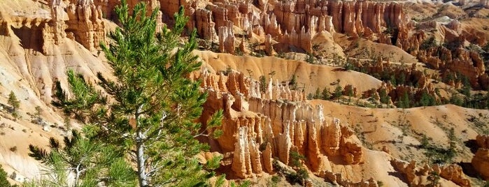 Parco nazionale del Bryce Canyon is one of National Recreation Areas.