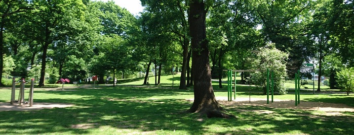 Stadtpark is one of Freizeit.