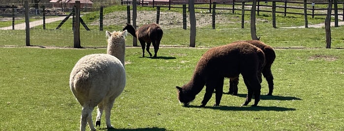 Tierpark Wismar is one of Freizeit.