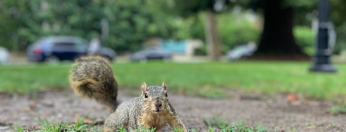 Holmby Park is one of LA Outdoors Spots.