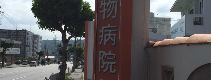 動物病院22時 中部医院  Animal Hospital 22 is one of 動物病院.