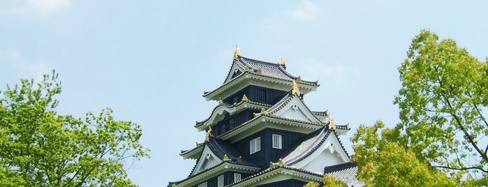 Okayama Castle is one of 中国・四国.