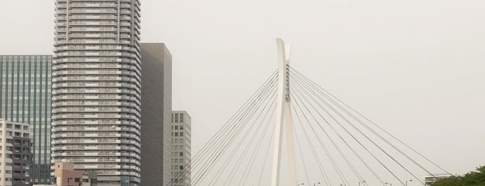 Chuo-Ohashi Bridge is one of 東京23区.