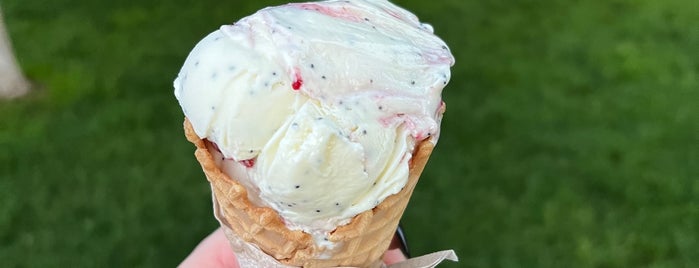 Mount Desert Island Ice Cream is one of New England.