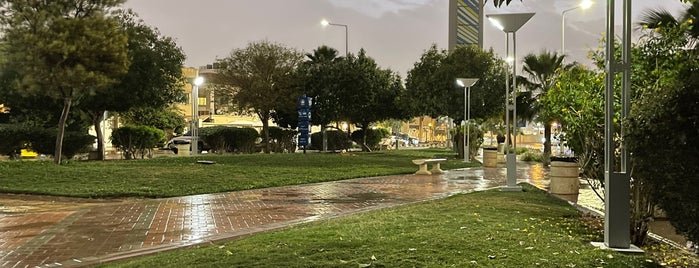 حديقة تركي الأول is one of Riyadh calm chill places.