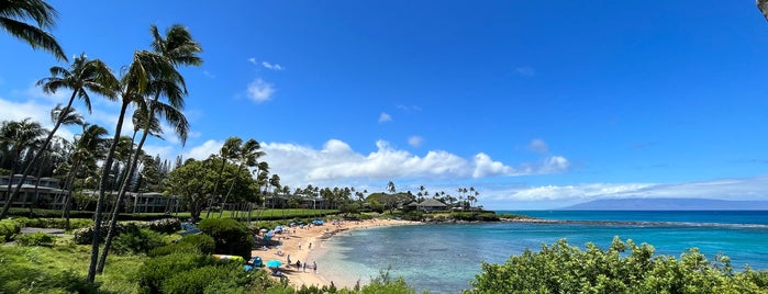Napili Kai Beach Resort is one of Hawaii.