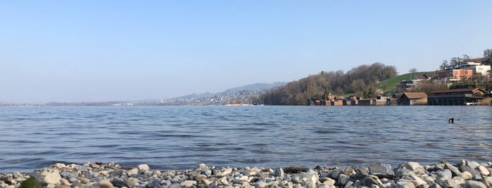 Hallwilersee is one of Freizeit.