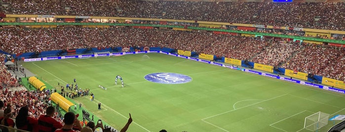 Arena da Amazônia is one of World Cup 2014.