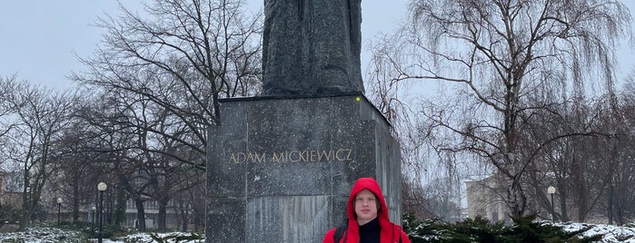 Plac Adama Mickiewicza is one of Alina.