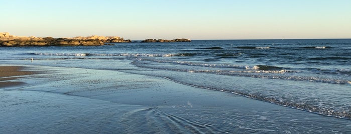 Narragansett Beach is one of Chris'in Beğendiği Mekanlar.