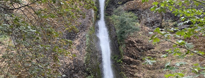 Horsetail Falls is one of Lieux qui ont plu à Marie.