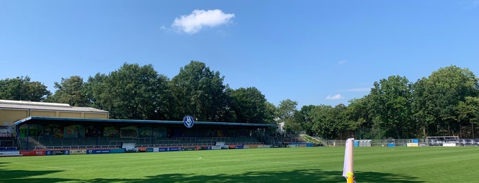 Stadion am Panzenberg is one of Stadion.