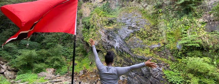 Maracas Waterfall is one of Trinidad.