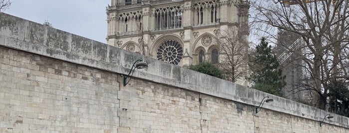 Le Quasimodo Notre-Dame is one of Cibo.