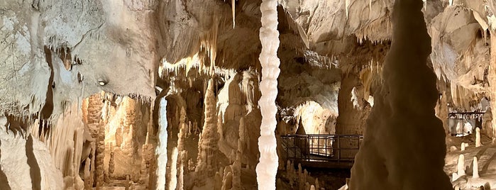 Grotte di Frasassi is one of Marche Educational.