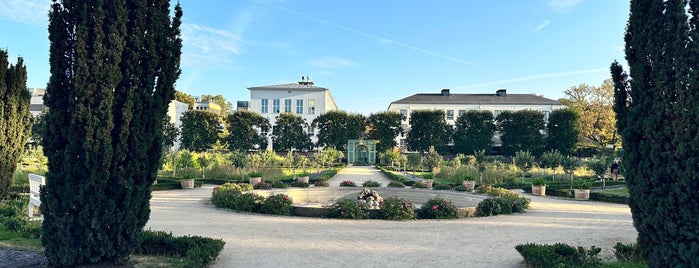 Prinz-Georgs-Garten is one of Chilled Darmstadt.