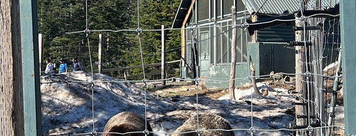 Grizzly Bear Habitat is one of Done.