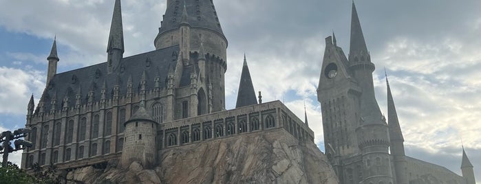 The Wizarding World Of Harry Potter is one of Harry Potter sights.
