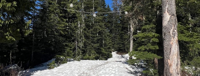 Grouse Mountain is one of Bucket List Skiing.