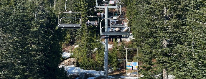 Peak Chairlift Ride is one of WestVancouver/NorthVancouver,BC part.1.