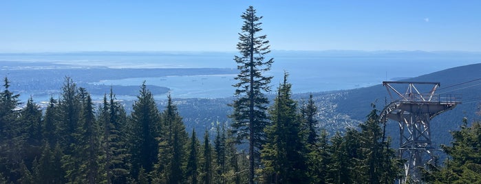 Top of Grouse Grind is one of Someday... Canada.