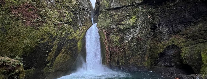 Wahclella Falls Trail is one of Columbia River Gorge.