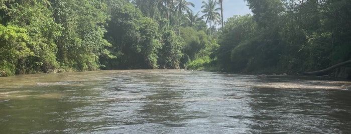 Sobek Rafting is one of Ubud.