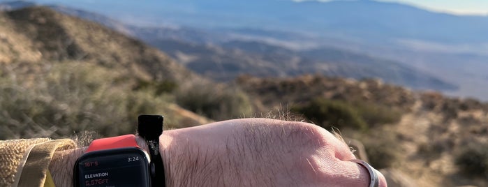 Inspiration Point is one of Joshua tree.